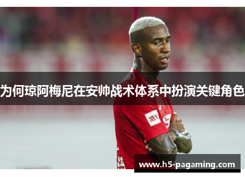 为何琼阿梅尼在安帅战术体系中扮演关键角色 为何琼阿梅尼在安帅战术体系中扮演关键角色