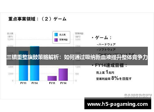 三镇重整旗鼓策略解析:如何通过吸纳新血液提升整体竞争力 三镇重整旗鼓策略解析:如何通过吸纳新血液提升整体竞争力