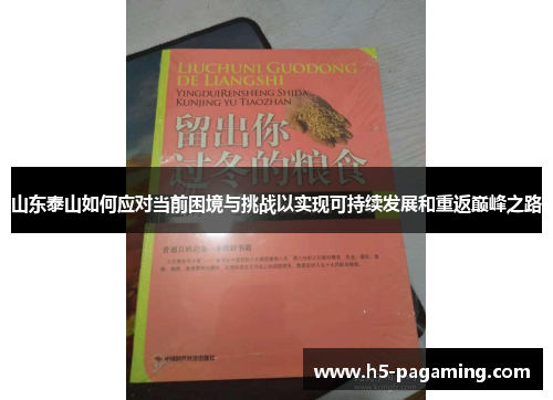 山东泰山如何应对当前困境与挑战以实现可持续发展和重返巅峰之路 山东泰山如何应对当前困境与挑战以实现可持续发展和重返巅峰之路