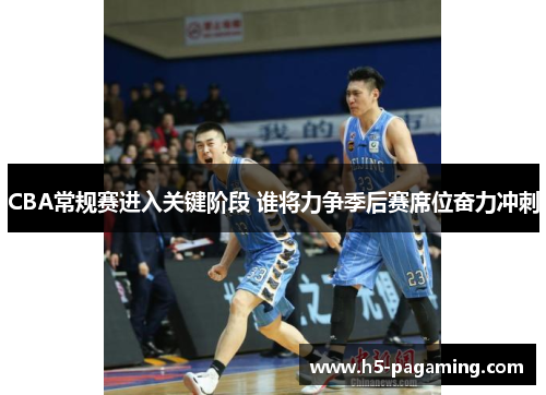 CBA常规赛进入关键阶段 谁将力争季后赛席位奋力冲刺 CBA常规赛进入关键阶段 谁将力争季后赛席位奋力冲刺