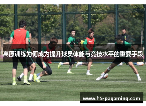 高原训练为何成为提升球员体能与竞技水平的重要手段