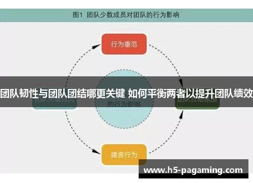 团队韧性与团队团结哪更关键 如何平衡两者以提升团队绩效 团队韧性与团队团结哪更关键 如何平衡两者以提升团队绩效