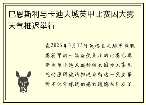 巴恩斯利与卡迪夫城英甲比赛因大雾天气推迟举行